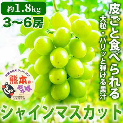 ふるさと納税 荒尾市 シャインマスカット ぶどう 3〜6房 約1.8kg(荒尾市)