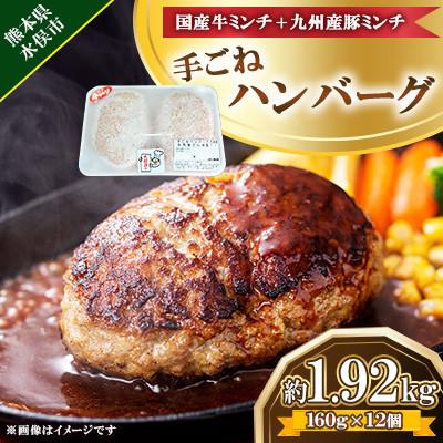 ふるさと納税 水俣市 手ごね ハンバーグ 約1.92kg(160g×12個)