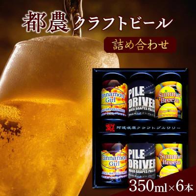 ふるさと納税 都農町 都農クラフトビール詰め合わせ6本セット[T016-0035]