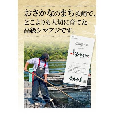 ふるさと納税 須崎市 高級シマアジ 美粕祇万アジ 250g_1