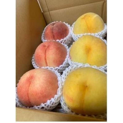 ふるさと納税 中野市 田中さんの2色桃詰合せ2.2kg | 樹上完熟にこだわった長野県中野市の桃です