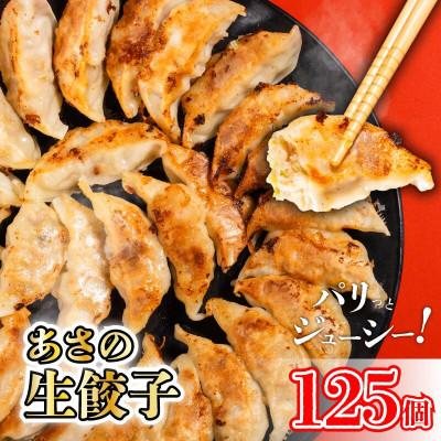ふるさと納税 松山市 あさの生餃子 [25個入×5パック 計125個]