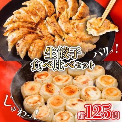 ふるさと納税 松山市 あさの生餃子 もち〇生餃子 セット[5パック 計125個]