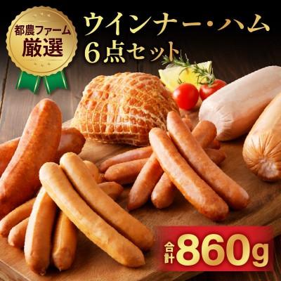 ふるさと納税 都農町 都農ファーム厳選「ウインナー・ハム6点セット」合計860g [T020-0015]