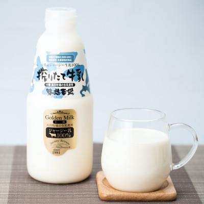 ふるさと納税 鹿追町 十勝ジャージー牛乳 750ml×3本セット