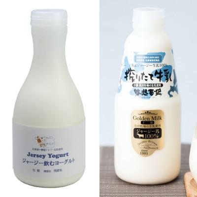 ふるさと納税 鹿追町 十勝ジャージーセット 大 各1本(飲むヨーグルト500g、牛乳750ml )