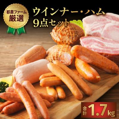 ふるさと納税 都農町 都農ファーム厳選「ウインナー・ハム9点セット」合計 約1.7kg[T020-0025]