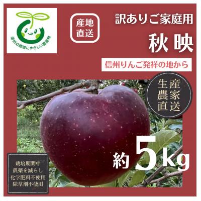 ふるさと納税 長野市 生産農家直送 信州りんご発祥の地・長沼りんご 秋映(訳ありご家庭用)5kg