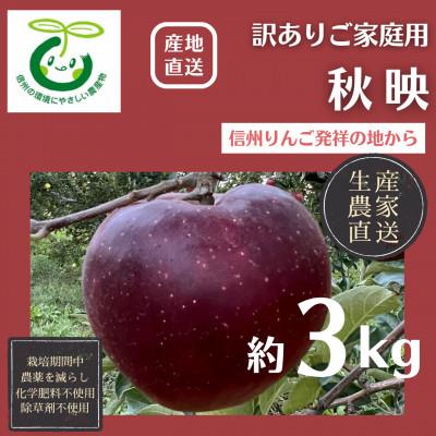 ふるさと納税 長野市 生産農家直送 信州りんご発祥の地・長沼産 長沼りんご 秋映(訳ありご家庭用) 3kg サイズミックス