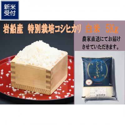 ふるさと納税 村上市 [新米受付・令和8年産米]新潟県村上市岩船産 特別栽培米 ちょっと贅沢なコシヒカリ 5kg 047N