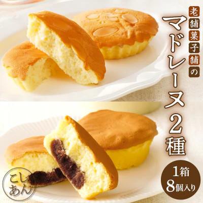 ふるさと納税 都農町 老舗菓子舗のマドレーヌ2種セット(合計8個) 焼き菓子[T035-0055]