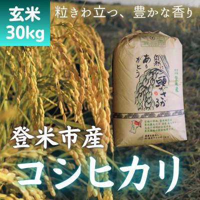 ふるさと納税 登米市 [令和7年産 宮城県登米市産]コシヒカリ(玄米)30kg