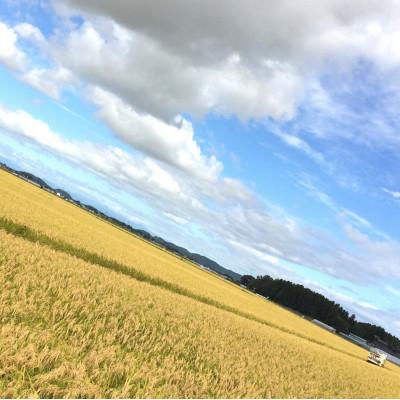 ふるさと納税 登米市 【令和7年産　宮城県登米市産】コシヒカリ(玄米)30kg_1