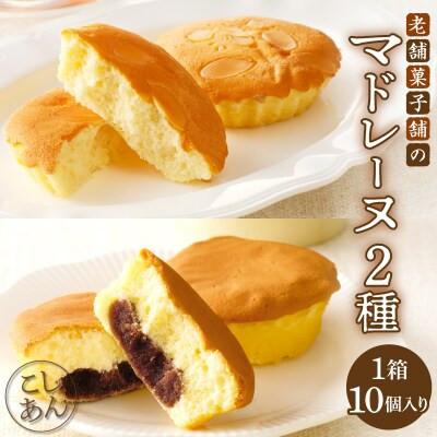 ふるさと納税 都農町 老舗菓子舗のマドレーヌ2種セット(合計10個) 焼き[T035-0065]