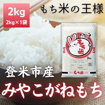 ふるさと納税 登米市 令和7年産 宮城県登米市産みやこがねもち(精米)2kg