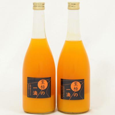 ふるさと納税 北山村 [無添加]田村みかんの新鮮100%ジュース 「至極の一滴」720ml×2本[tec934]