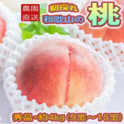 ふるさと納税 北山村 [農園直送]朝採れの和歌山の桃 約4kg 秀品[2026年度発送分][tec911B]