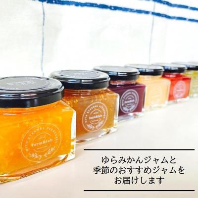 ふるさと納税 美浜町 【無添加】和歌山産 季節のジャムセット (ゆらみかんジャム+季節のおすすめジャム) 12個入_1