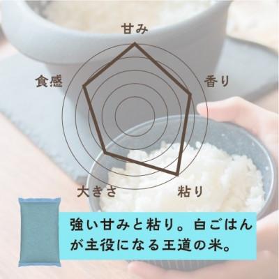 ふるさと納税 大網白里市 【令和8年産】2年連続特A評価!米　コシヒカリ　無洗米10kg(5kg×2)訳あり　ラベルレス |  | 02