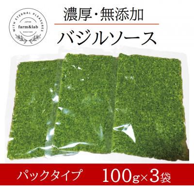 ふるさと納税 美浜町 濃厚・無添加 バジルソース(ジェノベーゼソース) パックタイプ 100g×3袋