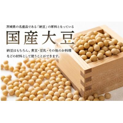 ふるさと納税 石岡市 極小粒 大豆 5kg