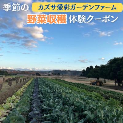 ふるさと納税 君津市 [会員制貸農園お試し] 「カズサ愛彩ガーデンファーム」季節の野菜収穫体験クーポン