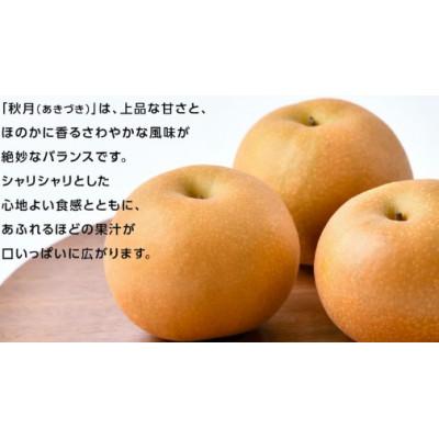 ふるさと納税 つくばみらい市 あきづき 梨 5kg(8〜12玉)[2026年10月より発送開始](茨城県共通返礼品:大子町産)