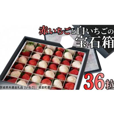 ふるさと納税 つくばみらい市 赤白いちごの宝石箱アソート 36粒 [2025年12月から発送開始](茨城県共通返礼品:城里町産)