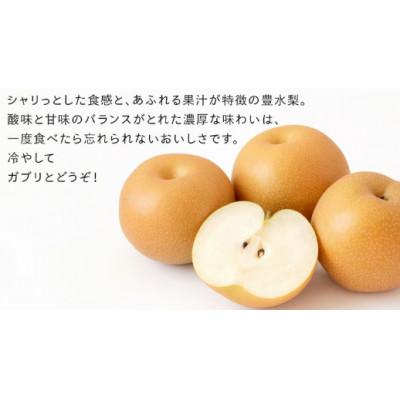 ふるさと納税 つくばみらい市 豊水 梨 10kg(18〜24玉)[2026年10月より発送開始](茨城県共通返礼品:大子町産)