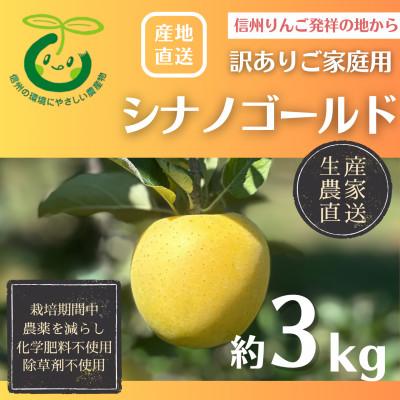 ふるさと納税 長野市 生産農家直送 信州りんご発祥の地・長沼りんご シナノゴールド(訳ありご家庭用)3kg