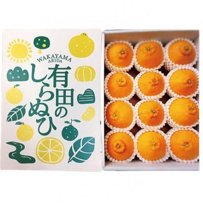 ふるさと納税 広川町 [2027年2月より順次発送]有田の不知火[しらぬひ]化粧箱入り Mサイズ(12個入り)