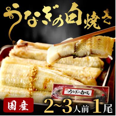 ふるさと納税 京丹後市 [土用の丑の日に!]うなぎの白焼き2〜3人前(1尾)スタミナ満点のうなぎで夏を乗りきろう!