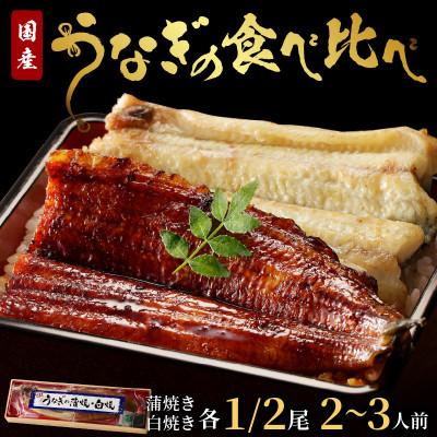 ふるさと納税 京丹後市 [土用の丑の日に!]うなぎの食べ比べセット2〜3人前[蒲焼き・白焼きそれぞれ1/2尾]