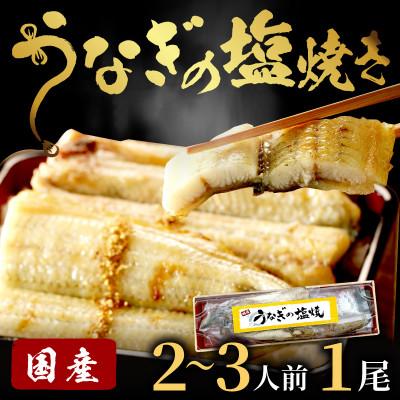 ふるさと納税 京丹後市 [土用の丑の日に!][新月の塩]使用!うなぎの塩焼き2〜3人前(1尾)夏はスタミナ満点の鰻!