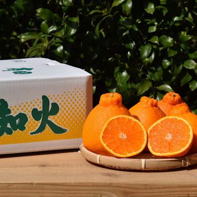 ふるさと納税 広川町 [まごころ手選別]有田の不知火(しらぬひ) 約4kg 秀品[2027年2月より順次発送]