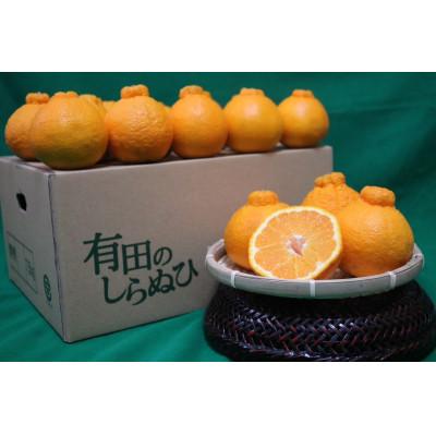 ふるさと納税 広川町 [まごころ手選別]和歌山産 不知火(しらぬひ) 約4kg 家庭用[2027年2月より順次発送]