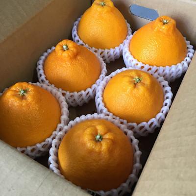 ふるさと納税 広川町 [まごころ手選別]和歌山産 不知火 6玉×3箱 L〜2Lサイズ[2027年2月より順次発送]