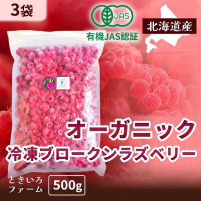 ふるさと納税 帯広市 有機JAS認証 訳あり 冷凍ラズベリー 1.5kg (500g