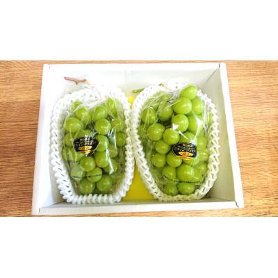ふるさと納税 美咲町 シャインマスカット 大房 約700g×2房