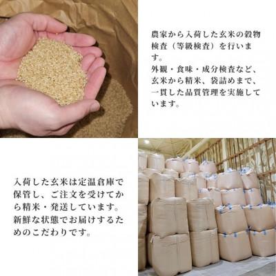 ふるさと納税 大潟村 サキホコレ20kg 秋田県産特別栽培米 5kg×4袋 大潟村のお米【令和7年産】精米の画像