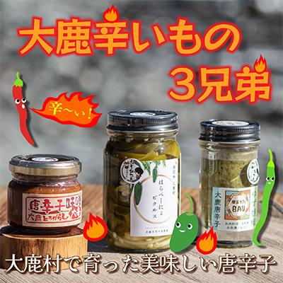 ふるさと納税 大鹿村 辛いもの3兄弟