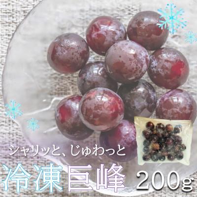 ふるさと納税 美浜町 旬の美味しさそのまま!シャリッと、じゅわっと冷凍巨峰(ぶどう) 200g