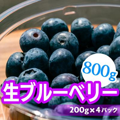 ふるさと納税 大鹿村 生ブルーベリー800g(200g×4)