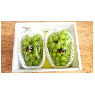 ふるさと納税 美咲町 シャインマスカット 500g以上×2房