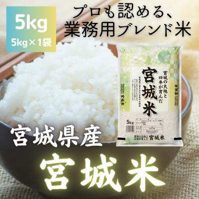 ふるさと納税 登米市 宮城県産ブレンド米 宮城米(精米)5kg