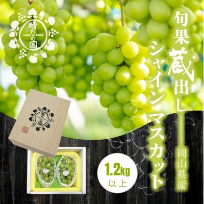 ふるさと納税 鏡野町 [先行予約]旬果蔵出し 岡山県産シャインマスカット 1.2kg以上[12月上旬〜2027年1月発送]