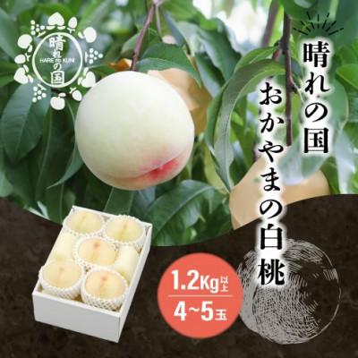 ふるさと納税 鏡野町 [先行予約]晴れの国おかやま 白桃 1.2kg[8月中旬〜9月上旬発送]