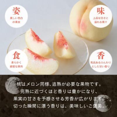 ふるさと納税 鏡野町 【先行予約】晴れの国おかやま 白桃 1.2kg【8月中旬〜9月上旬発送】の画像