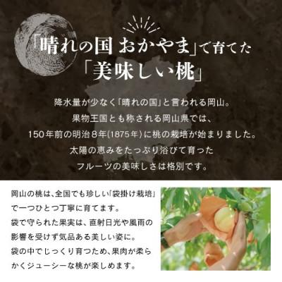 ふるさと納税 鏡野町 【先行予約】晴れの国おかやま 白桃 1.2kg【8月中旬〜9月上旬発送】の画像