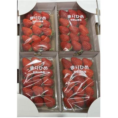 ふるさと納税 日高川町 和歌山県ブランドいちご「まりひめ」約250g×4p